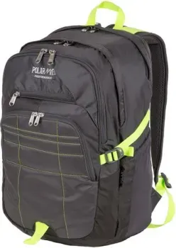 Polar П2188 (серый)