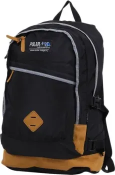 Polar П2104 (черный)