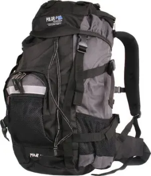 Polar П301 (серый)