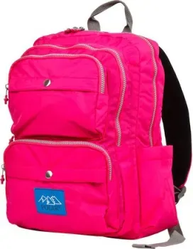 Polar П6009 (розовый)