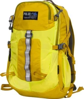 Polar П2170 (желтый)