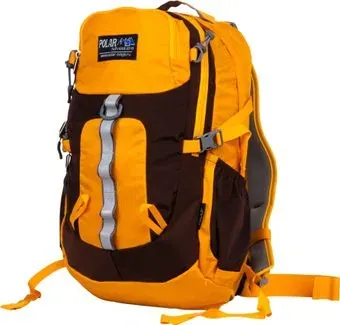 Polar П2170 (оранжевый)