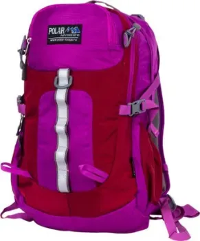 Polar П2170 (фиолетовый)