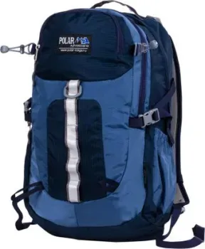 Polar П2170 (синий)