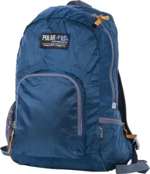 Polar П2102 (синий)