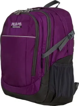 Polar П2319 (фиолетовый)