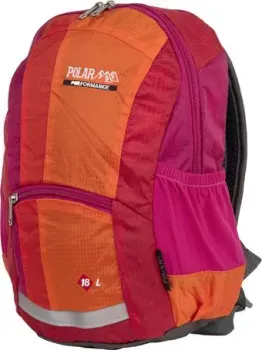 Polar П2009 (оранжевый)
