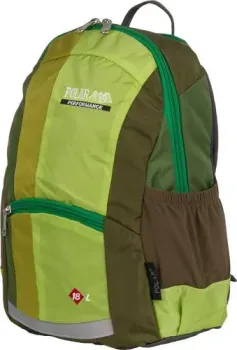Polar П2009 (зеленый)