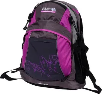 Polar П1563 (фиолетовый)