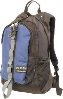 Polar П919 (синий)