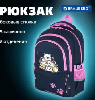 BRAUBERG Vibe Cat meeting 272089