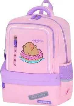 BRAUBERG Capybara 272062