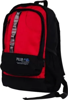 Polar П1106