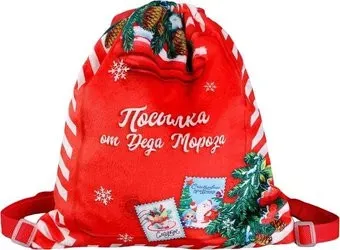 Milo Toys Посылка от Деда Мороза 9720697