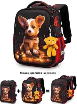 SkyName R8-033 + брелок мишка + мешок