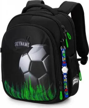 SkyName 6044 + часы