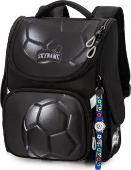 SkyName 2091 + часы