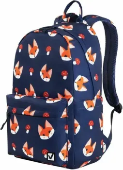 BRAUBERG Dream Foxes 270770