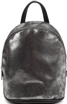 David Jones 6624-2 (серебряный)
