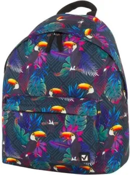 BRAUBERG Туканы 228847