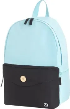 BRAUBERG Green&black 228839