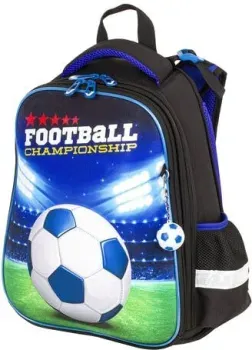 BRAUBERG Football champion 229911