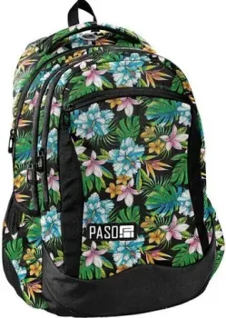 Paso PPLH19-2808