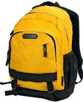 Polar 1502 (желтый)