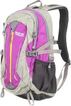 Polar П1595 (фиолетовый)