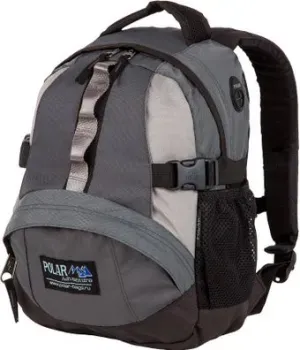 Polar П1013 (серый)