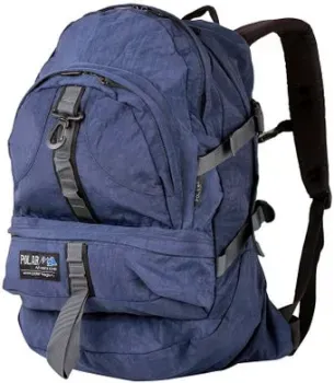 Polar П952 (синий)