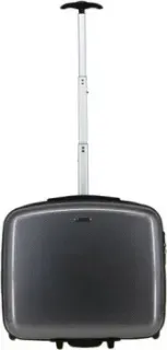 Rion+ 419 (шахматы)