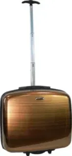 Rion+ 419 (янтарь)