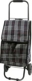 Рыжий кот D203ECO Tartan