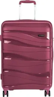 National NLT101-S (винный)