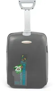 Francesco Molinary 337-HL301/3-18GRY (серый)