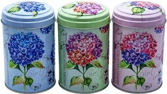 Новый Аргумент Гортензия Ц99h145v110-01653