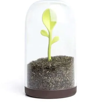 Qualy Sprout Jar QL10205-BN
