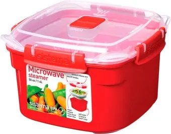 Sistema Microwave 1101