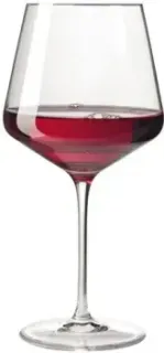 Leonardo Puccini 069555