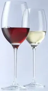 Leonardo Cheers 061632