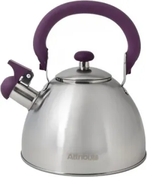 Attribute ASS309