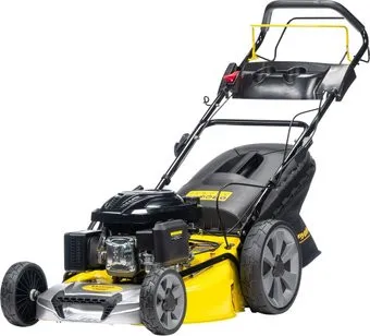 Champion LM5347