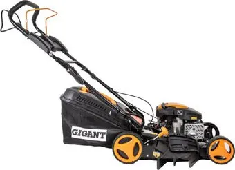 Gigant PLM-01