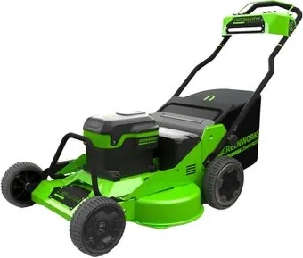 Greenworks 2519207 (без АКБ)