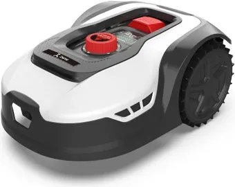 ZimAni 105