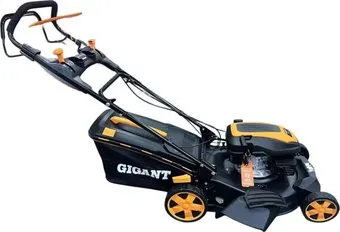Gigant PLM-06