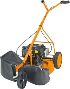 AS-Motor AS 21 4T B&S