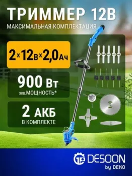 Desoon DSTR12 (с 2-мя АКБ)