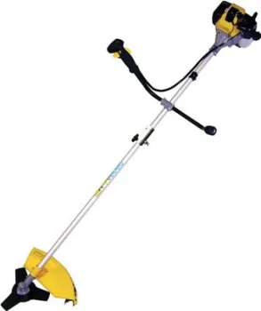 Champion T336
